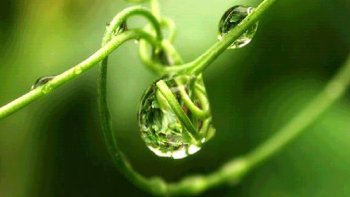 Le bonheur, est  le  chemin....