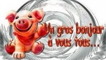 toujours quelques images    "mordantes "...