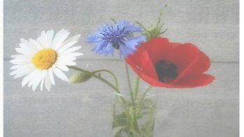 En mémoire, d'une poésie...disparue.......