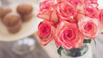 Comme dit la chanson de Patrick Bruel, "On s'est donné rendez-vous dans 10 ans " et ainsi tous les 10 ans... ça continue...