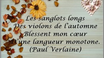 *
*sous le craquement des branches, le temps est installé' imprévisible'
* La force du vent se transforme, la saison se pose "doucement' dans
*ses couleurs mouillées' &  féeriques***
