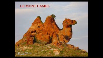 NATURE ET SES BIZARRERIES