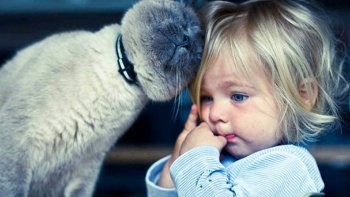 j'aime imaginer qu'ils me disent ce qu'ils pensent... même si certaines photos sont déjà vue...