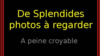 voici quelques photos incroyables qui j’espère vous ferons plaisir bonne journée !