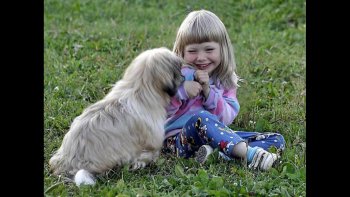 Nos amis nous parlent du moins c'est mon interprétation!!! ne sont ils pas tous adorables ?