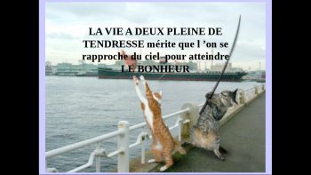 la tendresse chez nos amis les bêtes sont très humaines......

images reçues de Victoria... trouvés sur le net