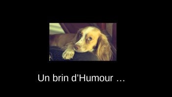  quelques images pour vous amuser....bonne journée à tous.