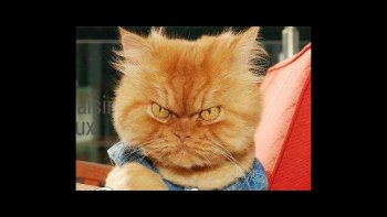 Juste pour "voir" !!! .....aïe ça fait mal... !