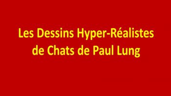 voici des dessins de chat si beaux qu'on croirait des photos!!!! qu'en pensez vous ? moi je dis chapeau l'artiste!!!