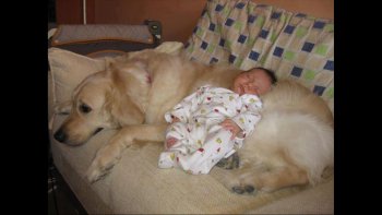 certaines images peut être déjà vue, m'ont été envoyées par Victoria...