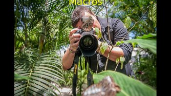 Une série de belles photos, tout un art de saisir l'instant unique. Il faut un oeil "artistique" et un materiel adéquat pour faire ces magnifiques photos.