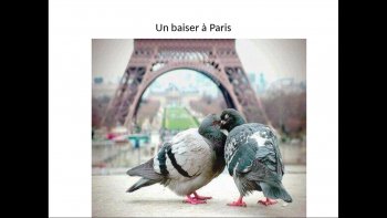 certe déja paru mais pas vue par tous les nouveaux !!!