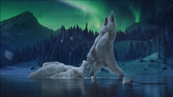 Un magnifique montage pour un moment de zenitude.. 
Les stars dansent pour la st valentin ...