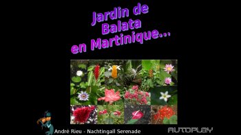 De quoi vous donner des idées de voyage ou de jardinage !!