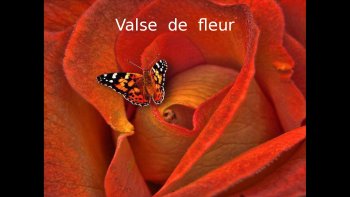 «la vie est une fleur.... l'amour en est le miel...» (Victor Hugo)