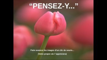 La sagesse du cœur est une vertu"