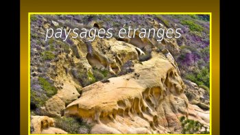 Charlotte et Danys vous invitent à entrer dans un monde  où la realité se rapproche de la fiction...