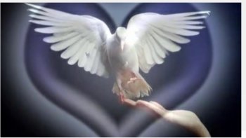 La colombe est le symbole de la paix.
Jean Giannada  chante 
 l'espérance de la paix