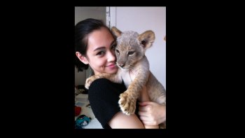 " il n'y a aucun charme égal à la tendresse du cœur "