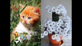 toujours si agréable à contempler avec sérénité, passion et douceur...