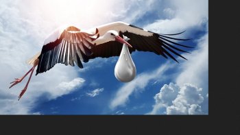 Depuis longtemps le ciel
N'envoie plus de courriel,
alors......désespérée,
j'eus recours aux  messagers....