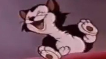 De l'humour comme "J'aime "