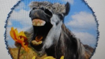 il y  a des évidences  que l'on ne peut ignorer 

