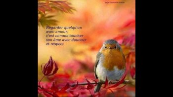 sur de belles photos laissons nous aller à la méditation...