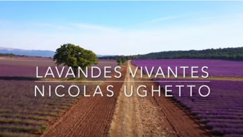 POUR LE PLAISIR DES YEUX.....
Quoi de plus beau que cette nature généreuse et enchanteresse....

belle journée à tous 