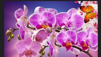 c'est un essai  vidéo.......