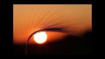 Quelques belles images  de jeux de Lune et de soleil ...
le tout est de savoir capturer l'instant sublime ...clic clac.