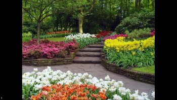Sur les 32 ha du parc, les sociétés florales et la région exposent au printemps leurs bulbes en fleur, notamment des tulipes. Il attire plus d'un million de visiteurs. Il est le plus rand parc au monde en superficie.