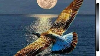 Être dans la lune!décrocher la lune!Aller dans la,lune, ....être lunatique......expressions courantes.RENDEZ-VOUS AVEC LA LUNE, avec ces q.q.q.e.s images(dont je ne connais pas l'auteur)auxquelles j'ai ajouté des citations......
,