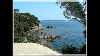 " La photographie est une brève complicité entre la prévoyance' et le hasard..".