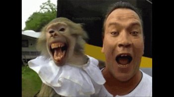 "A vous de juger... Mais ce sont de très bonnes blagues***