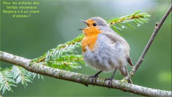 La nature agit, l'homme fait...