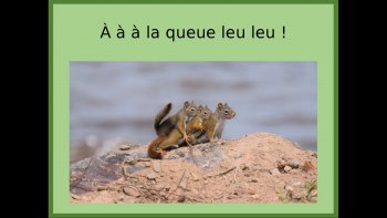 Toute bonté et bonne humeur! Bonne visite!