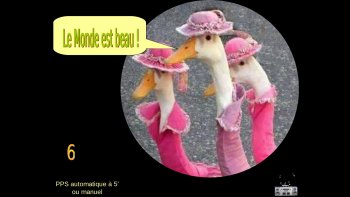 " juste pour le plaisir"