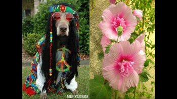 Moment de plaisir pour les yeux...