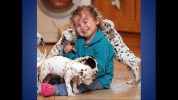 Des photos pour fondre de plaisir......où animaux et humains sont de très bons copains