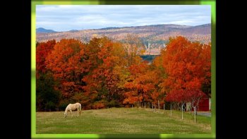 "Voici l'Automne et sa palette de couleurs'
 " l'Automne est la saison des couleurs chaudes*
Nos paysages se teintent de rouge, d'orange, et de jaune...