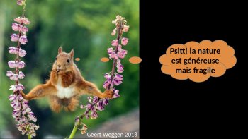 Des photographes  talentueux ont participé à un concours de photos comiques   animalières .
les clowns  au naturel ,,, c'est un  "régal " 