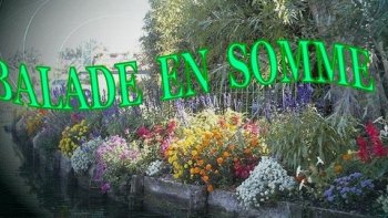 Une jolie promenade  depuis son fauteuil..
à lire .en grand écran ...