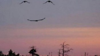  La vie ,c'est comme l'océan ,"Ça va ,ça vient."
tempêtes et bourrasques.
.puis le ciel s'éclaircit et le calme revient..
.il faut garder le cap!
(de bonne espérance bien sur)
Ne jamais baisser les bras....