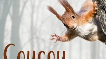 Quelques  images  trouvées sur "internet  "...un peu d'humour ne nuit à personne ...
