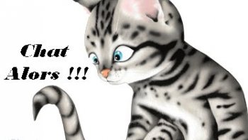 Marseille  et son histoire  m'ont fait découvrir une "pépite " que je partage avec plaisir avec vous tous .
.Certains ,y ayant vécu en auront peut être entendu parler par leurs parents..
j'ai donc essayé de   faire une petite compilation   en recherchant sur internet ,,
