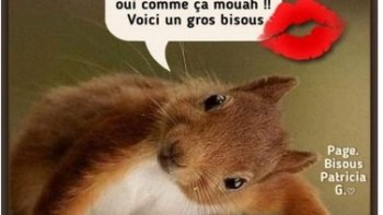 bonjour à tous ,,, commençons la semaine  avec le sourire  ,,,