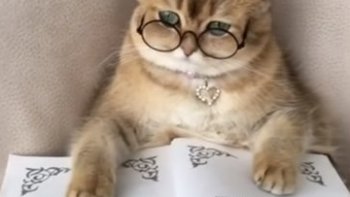 Il faudrait en faire sa lecture matinale ,,,,