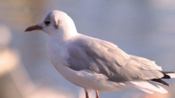 Pour une idée de balade  lorsque viendront les beaux jours,,ou simplement une promenade virtuelle  qui nous fera  oublier la météo actuelle 
une région que j'affectionne   ..+++

source internet ...