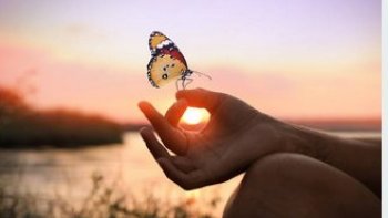 Quelque soit l'endroit sur notre planète  des sites magnifiques ,,magiques ,,  étonnants s'offrent à nous,, partageons ce petit voyage  en image ... 